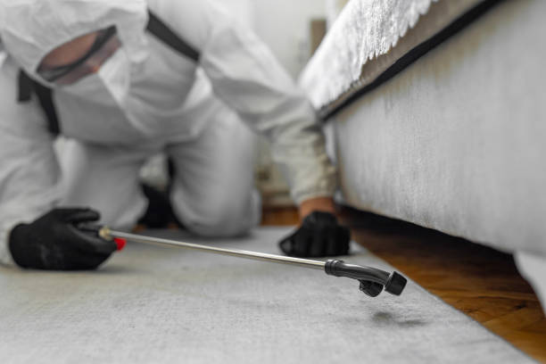 Professional Pest Control technician working in Kersey, CO