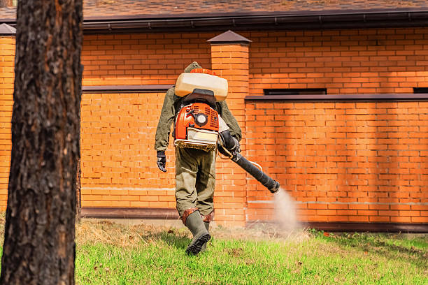 Trusted Ant Control service in Kersey, CO - Nex Pest Control